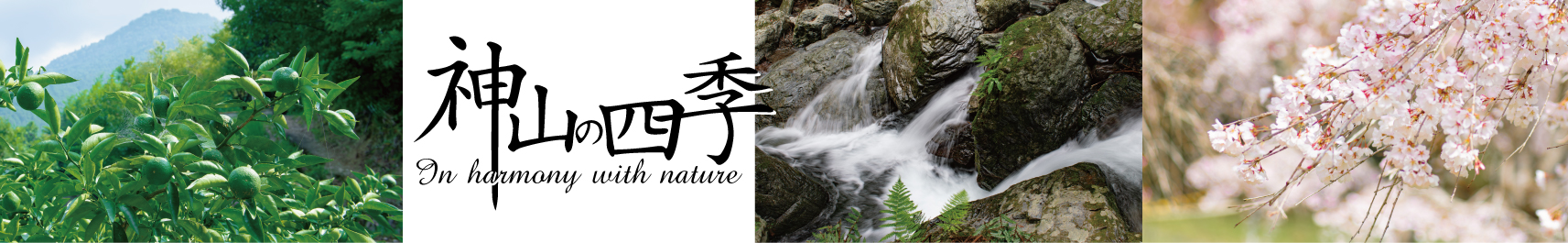 阿波國発祥の地　神山の風景